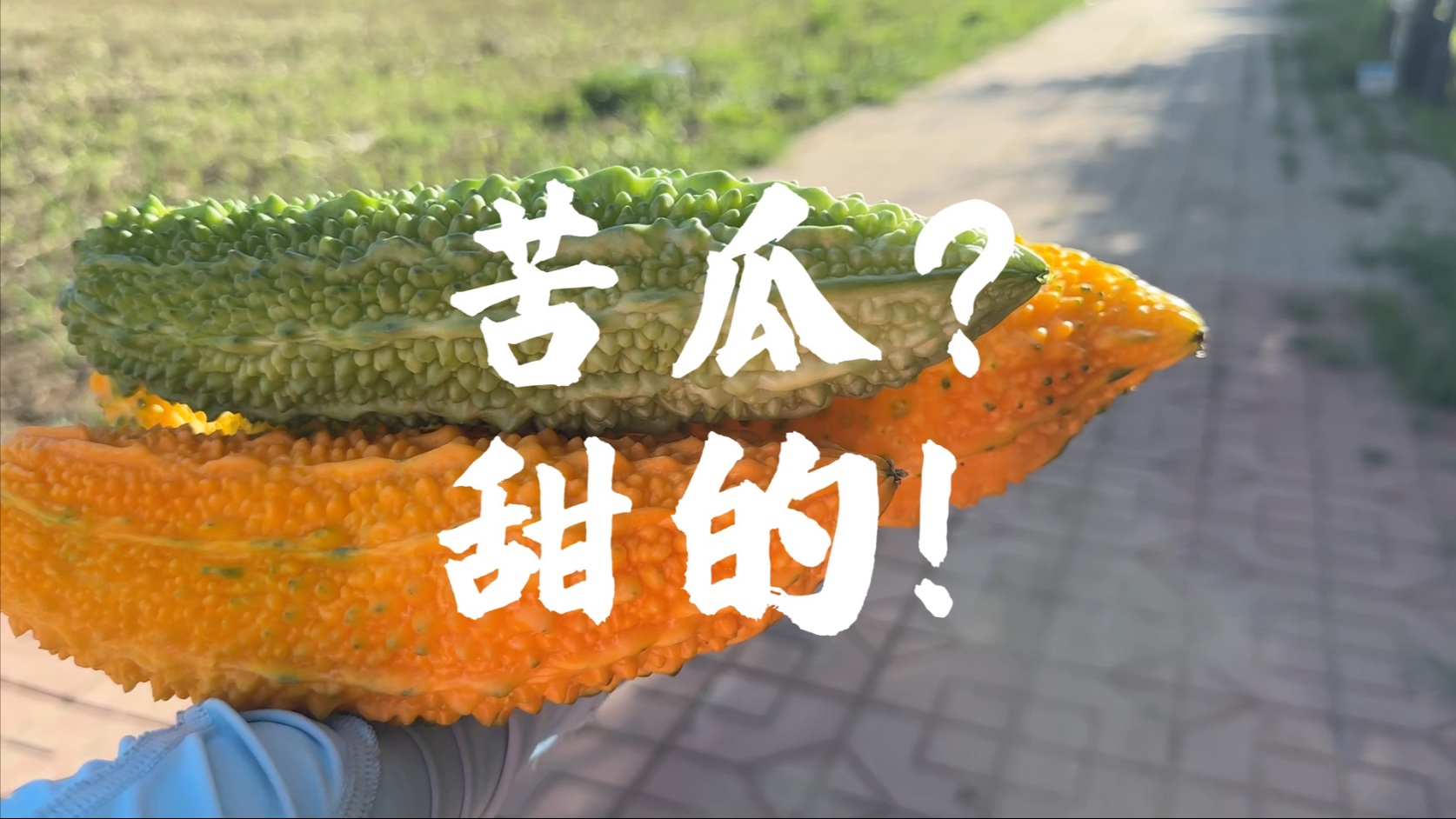 众生皆苦，但苦瓜可以是甜的