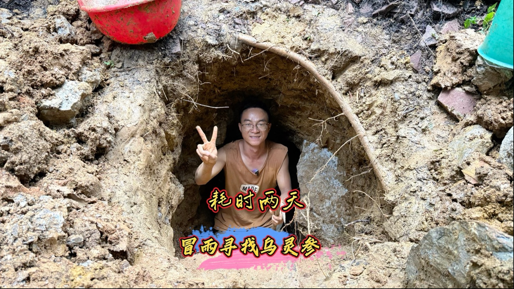 捡鸡枞偶遇乌灵参，老表耗时两天才挖开，老天都感动了