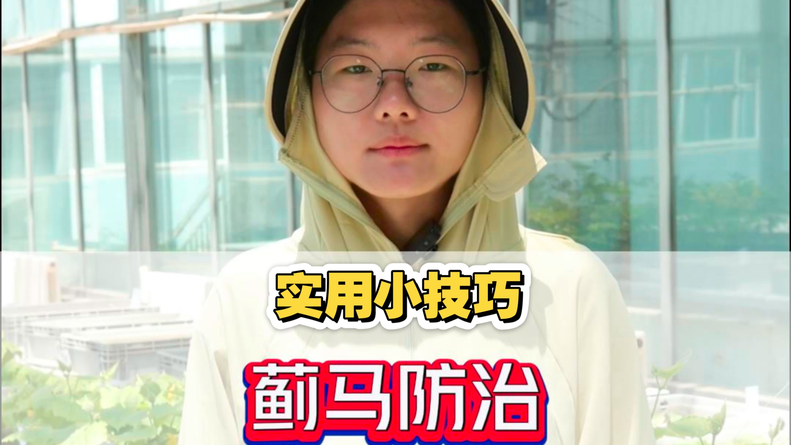 蓟马防治实用小技巧