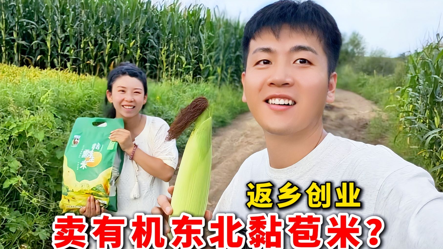 返乡创业3年，每年丰收60000斤，我为啥没卖东北黏苞米？