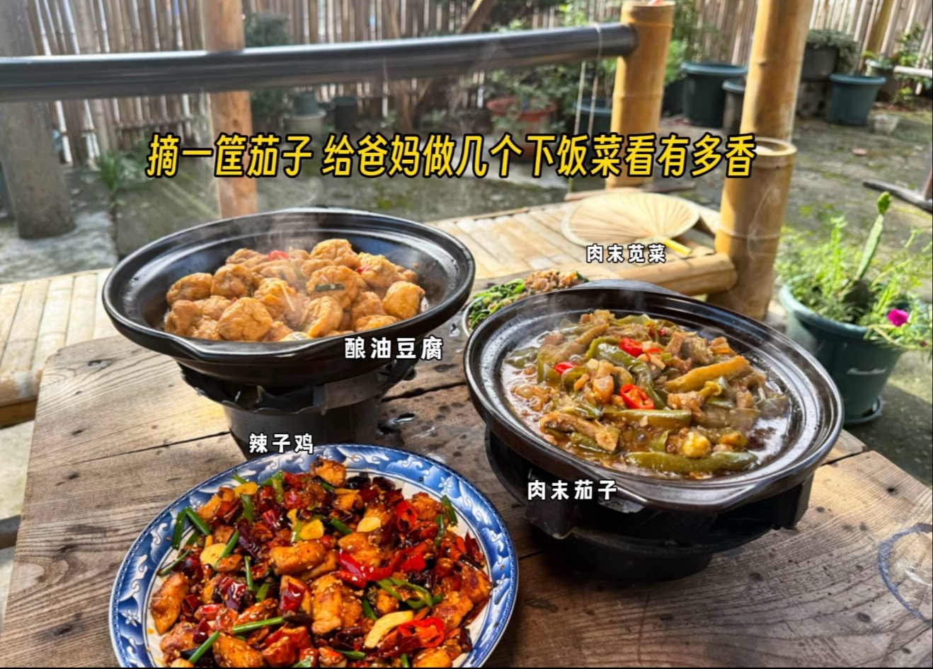 茄子进入了黄金期，天天吃不腻。摘几个应季食材简简单单又是一