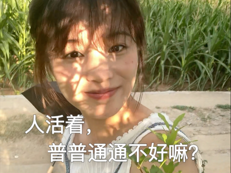 有人问，普普通通不好嘛，我陷入沉思…