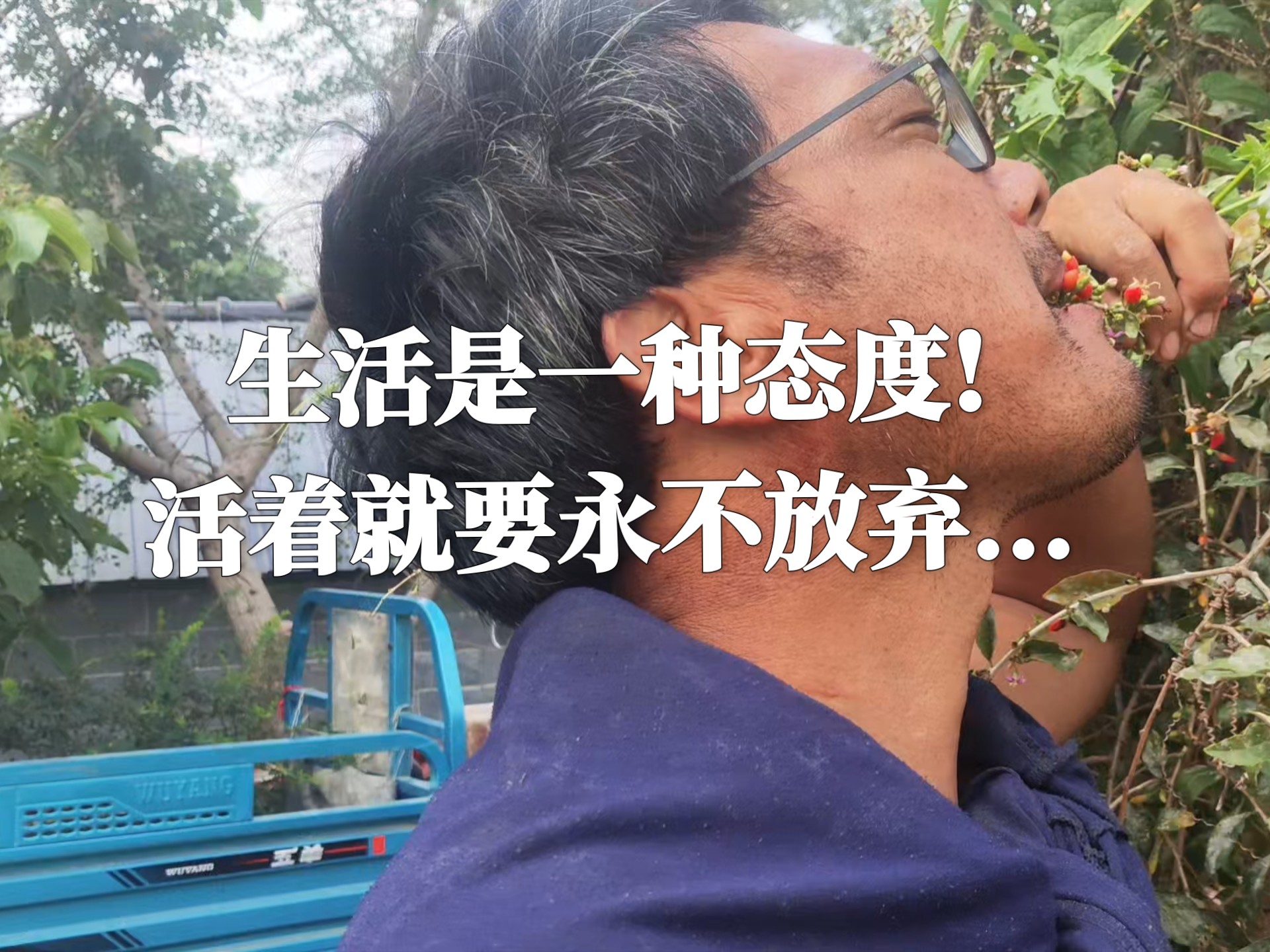 生活是一种态度!活着就要永不放弃……
