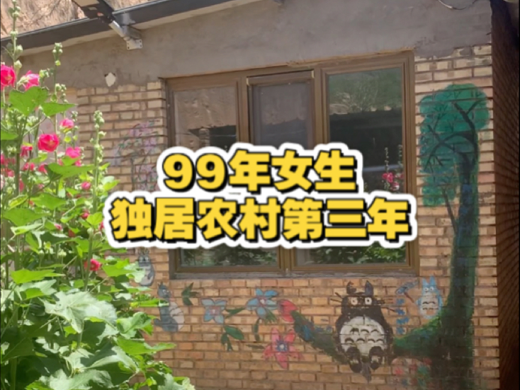 99年女生独居甘肃农村第3年：INTJ水瓶座的“无聊”？是自由在开