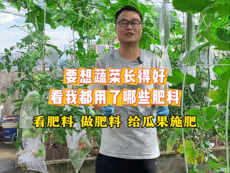 小菜园肥料大揭密，带大家一起看肥、做肥、施肥
