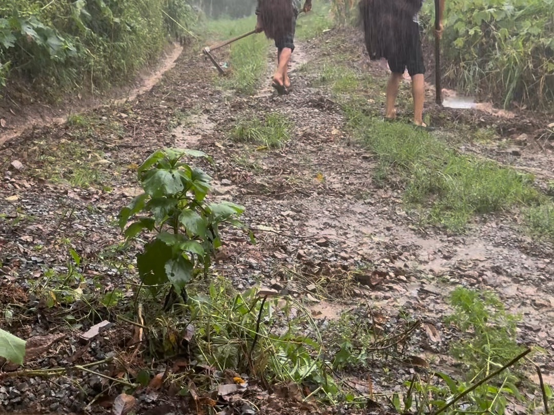 下雨天清理沟道