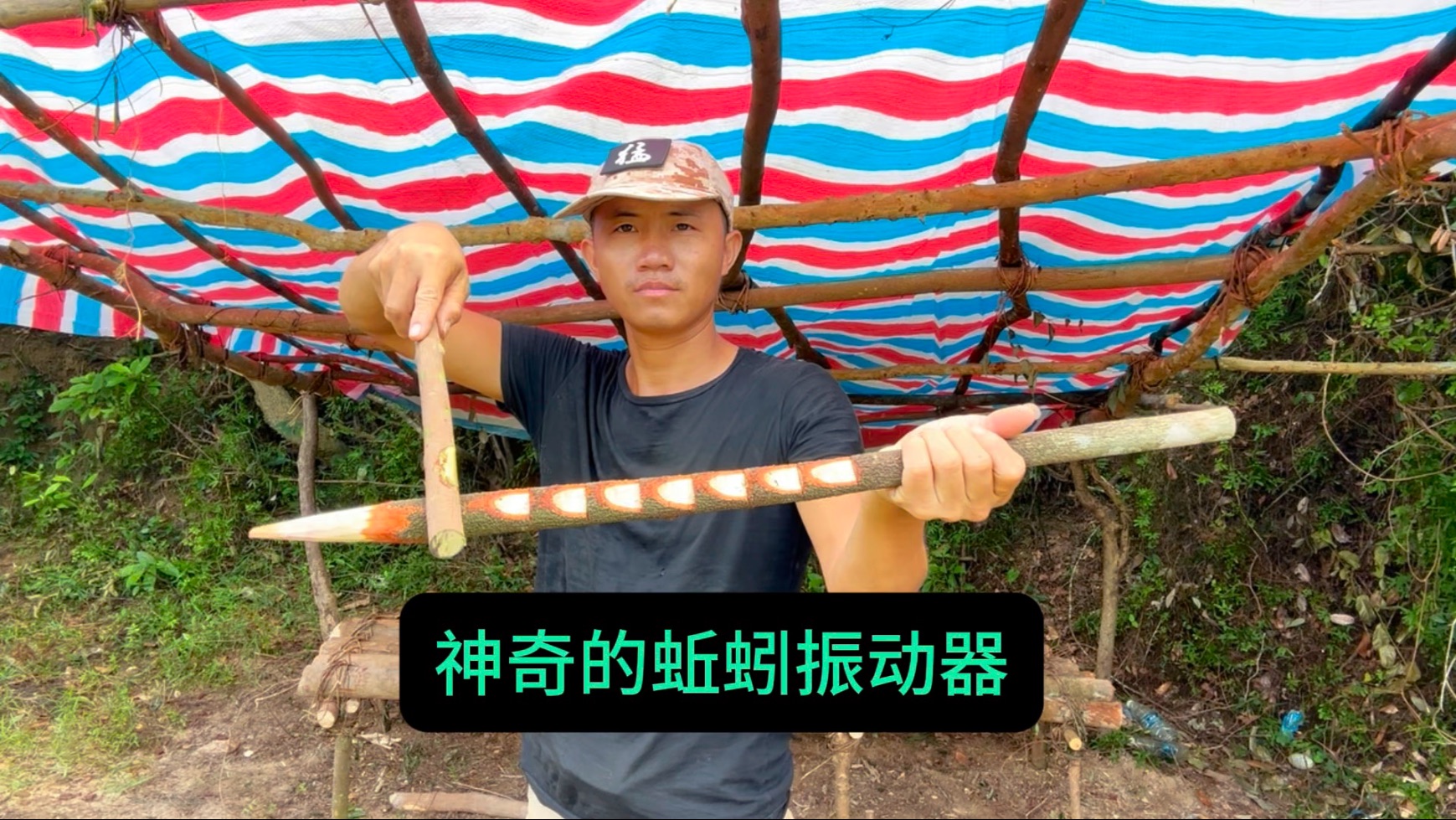 传说中有一种抓蚯蚓的方法，我帮大家试了，是智商税