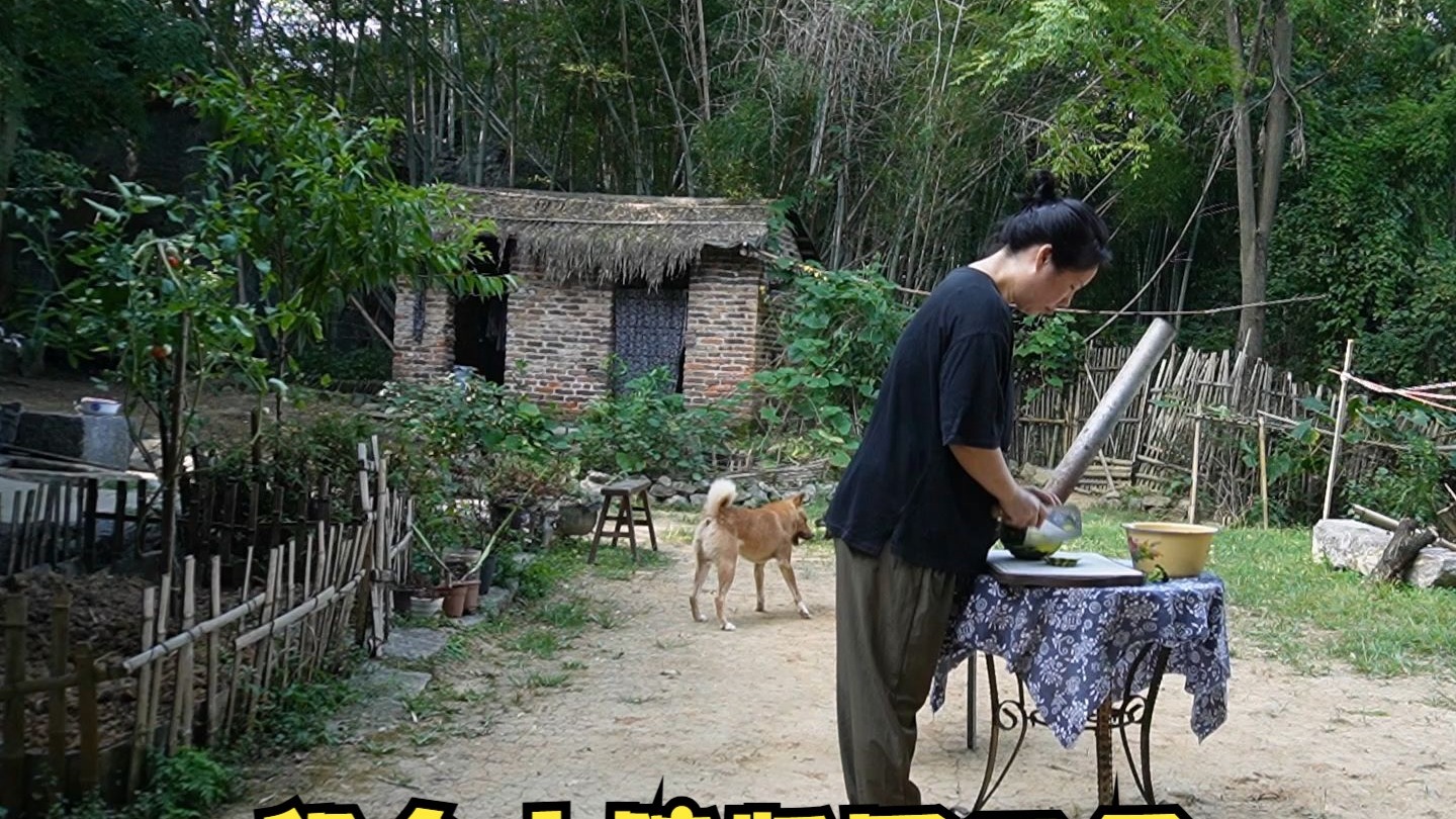 租个小院归园田居：今天摘个嫩南瓜炒了吃，甜甜的很美味