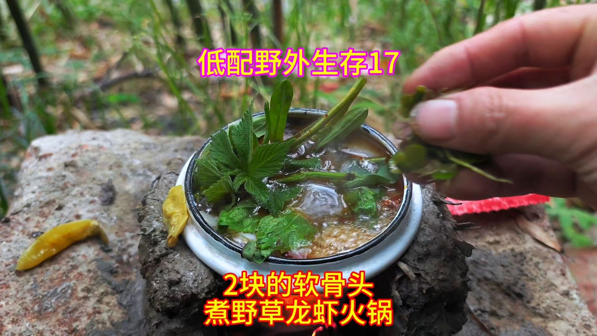 买2块钱的脆骨去野外生存，寻找各种野菜野草煮小火锅，太好吃了