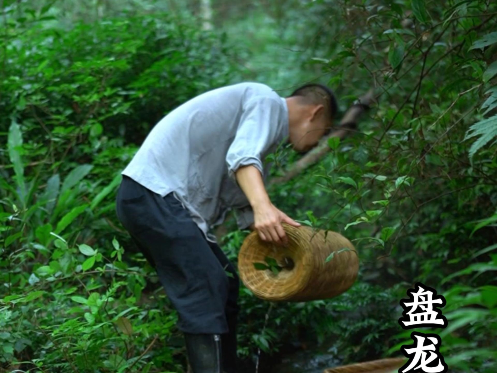 山野至味，一笼黄鳝，一把辣椒，一道江西人的特色美食！