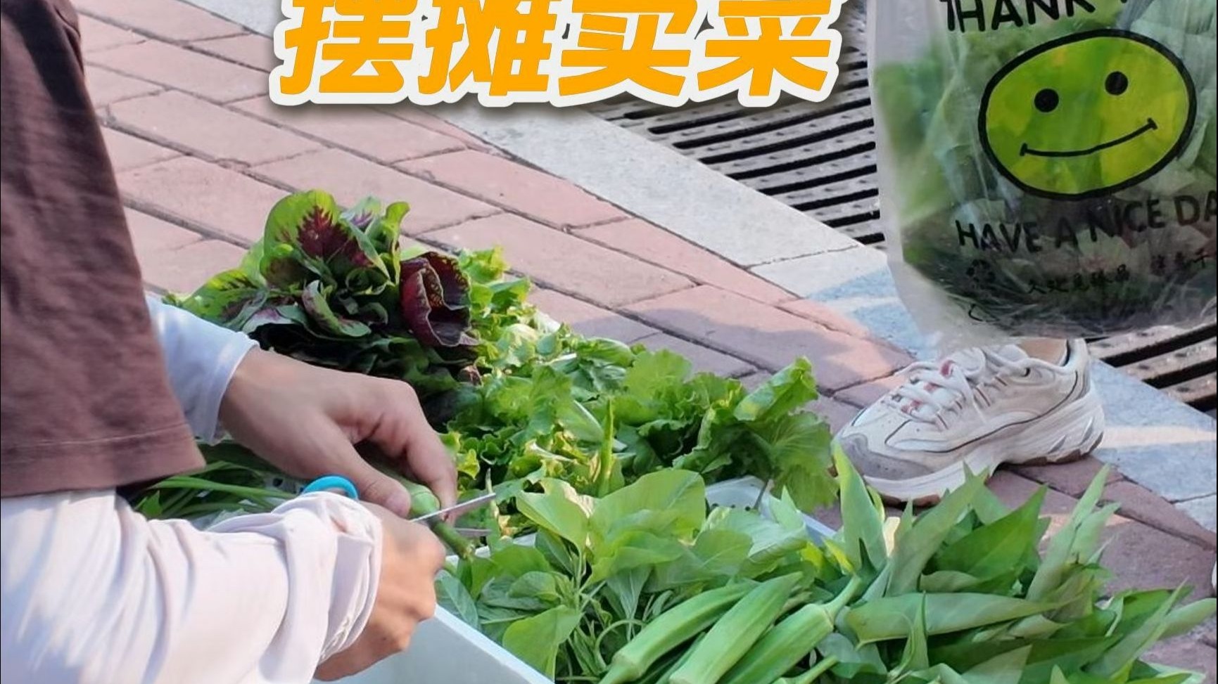 菜园丰收，去市区摆摊卖菜的一天。看看卖了多少钱？