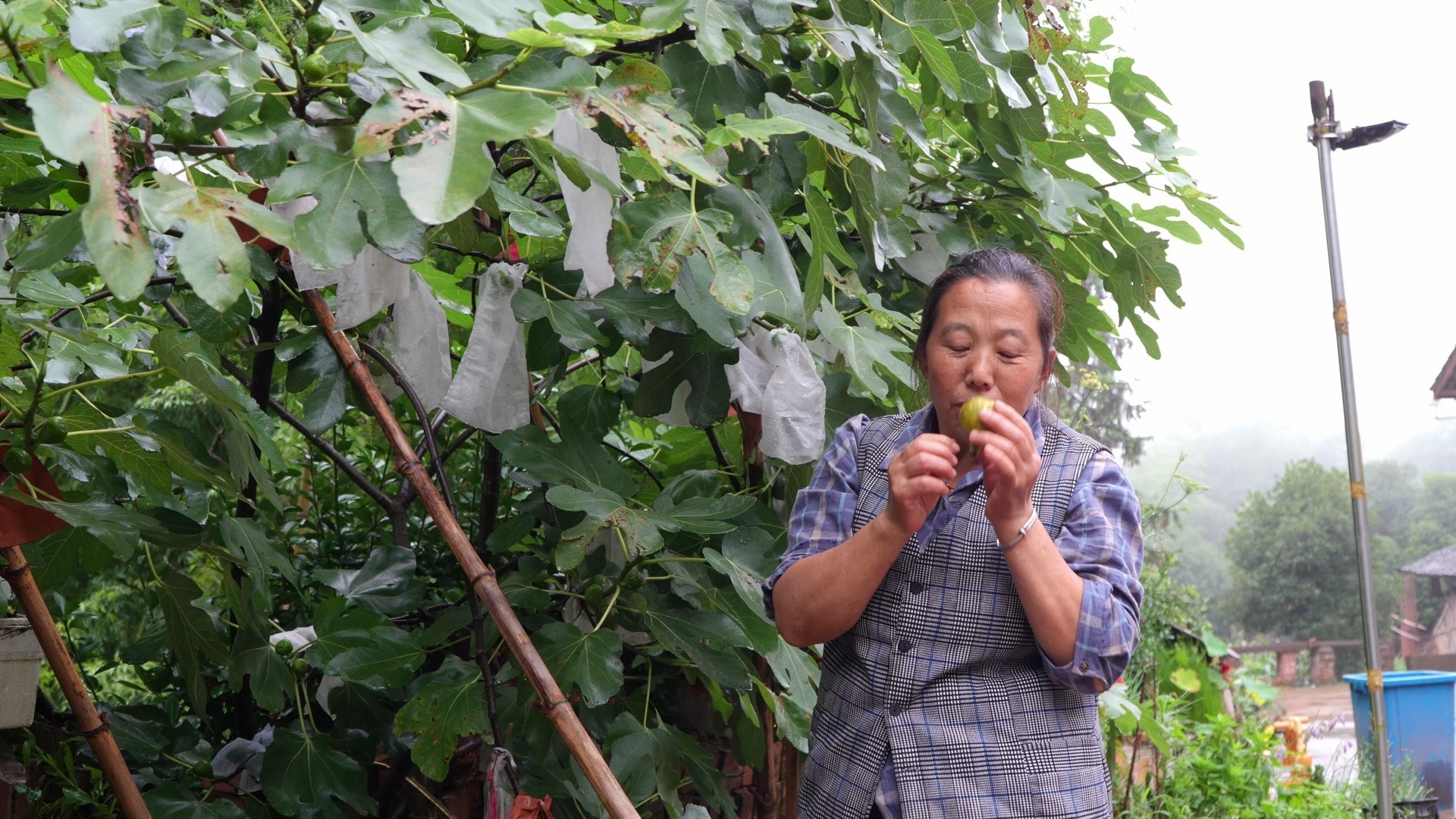陪伴是最长情的告白，幺妈幺叔这样相伴相随的日子平淡又温馨