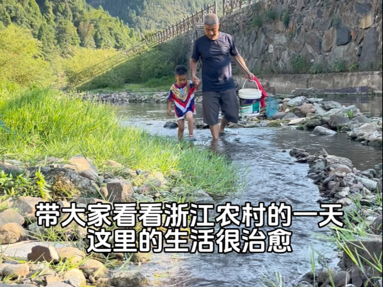 带大家看看浙江农村真实的一天，这里的生活很治愈！