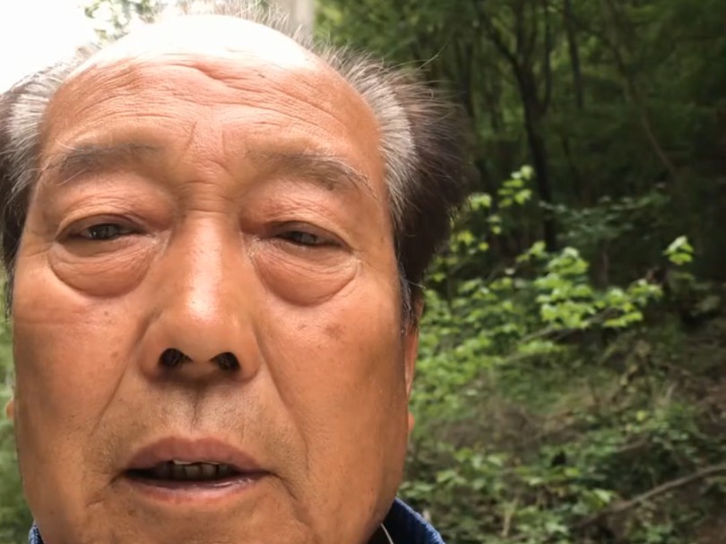 效果不错