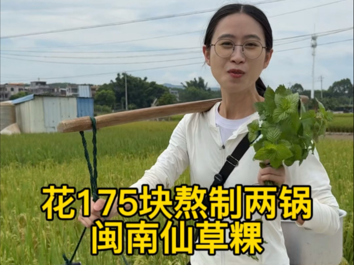 结识于视频 相遇于海边2025年7月多夏天我们谈笑风生 甚是欢