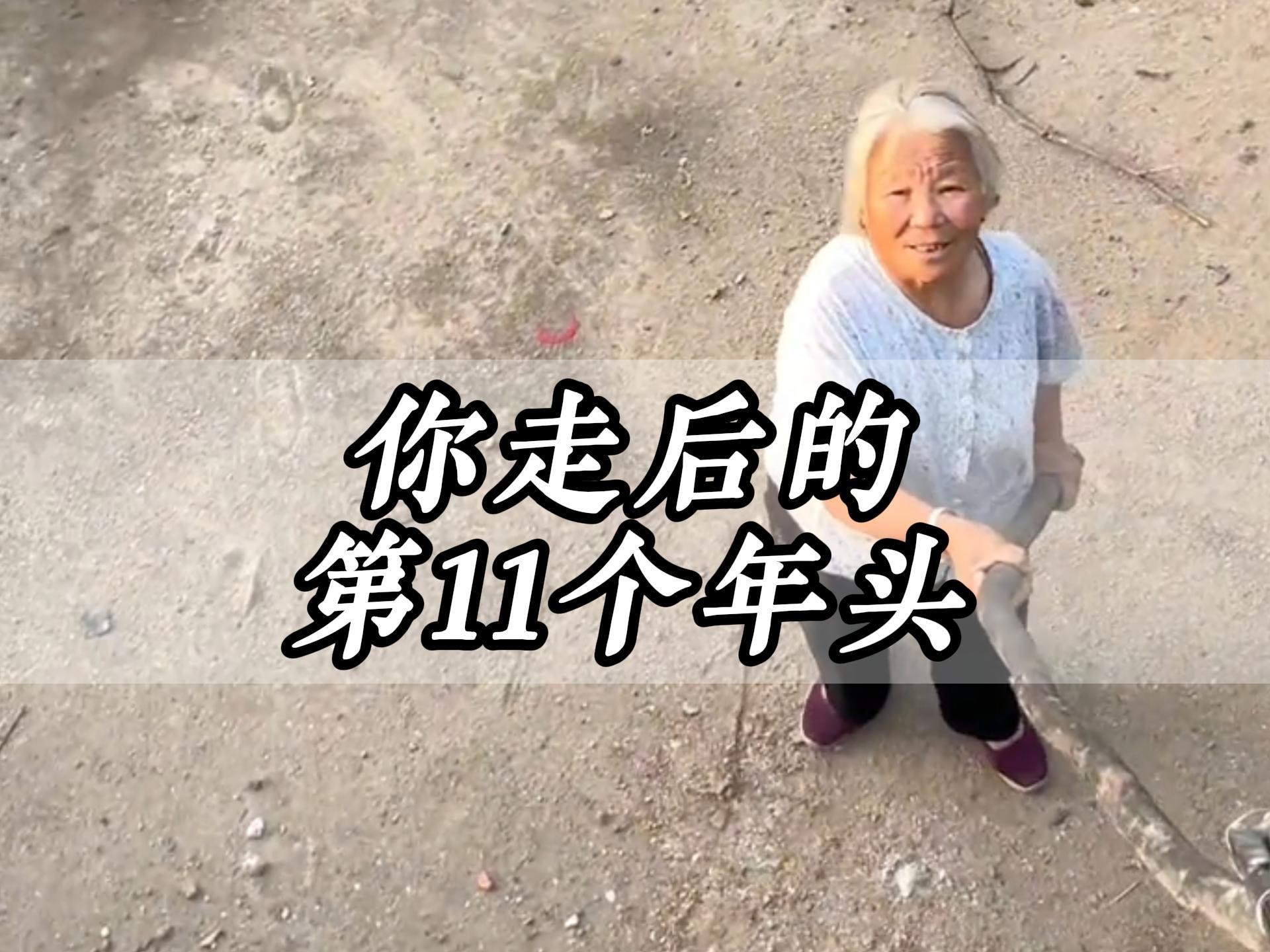 院中老树乃先夫生时所植，今夫已逝，树亦哭死矣。张奶奶在老伴走