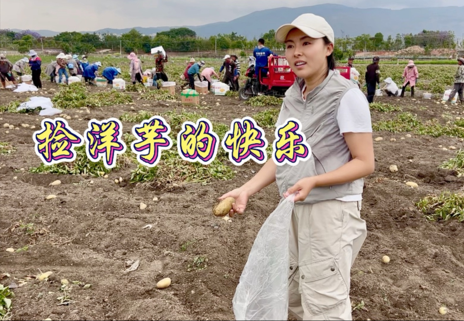 融入云南本地生活，体会捡土豆的快乐，还有什么可以捡快告诉我