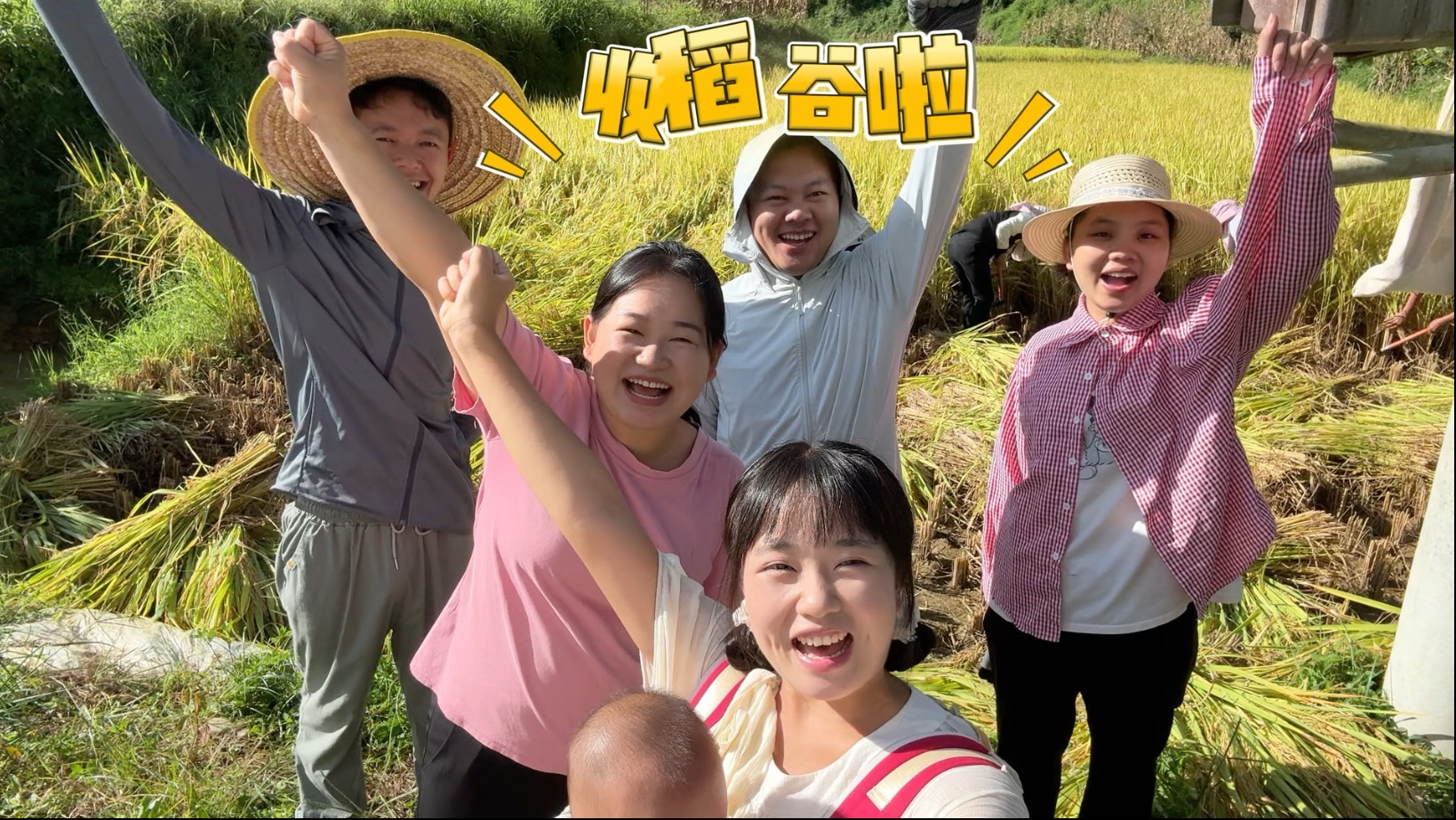 稻谷飘香，又是一年秋收时，愿所有辛勤的付出都能满载而归