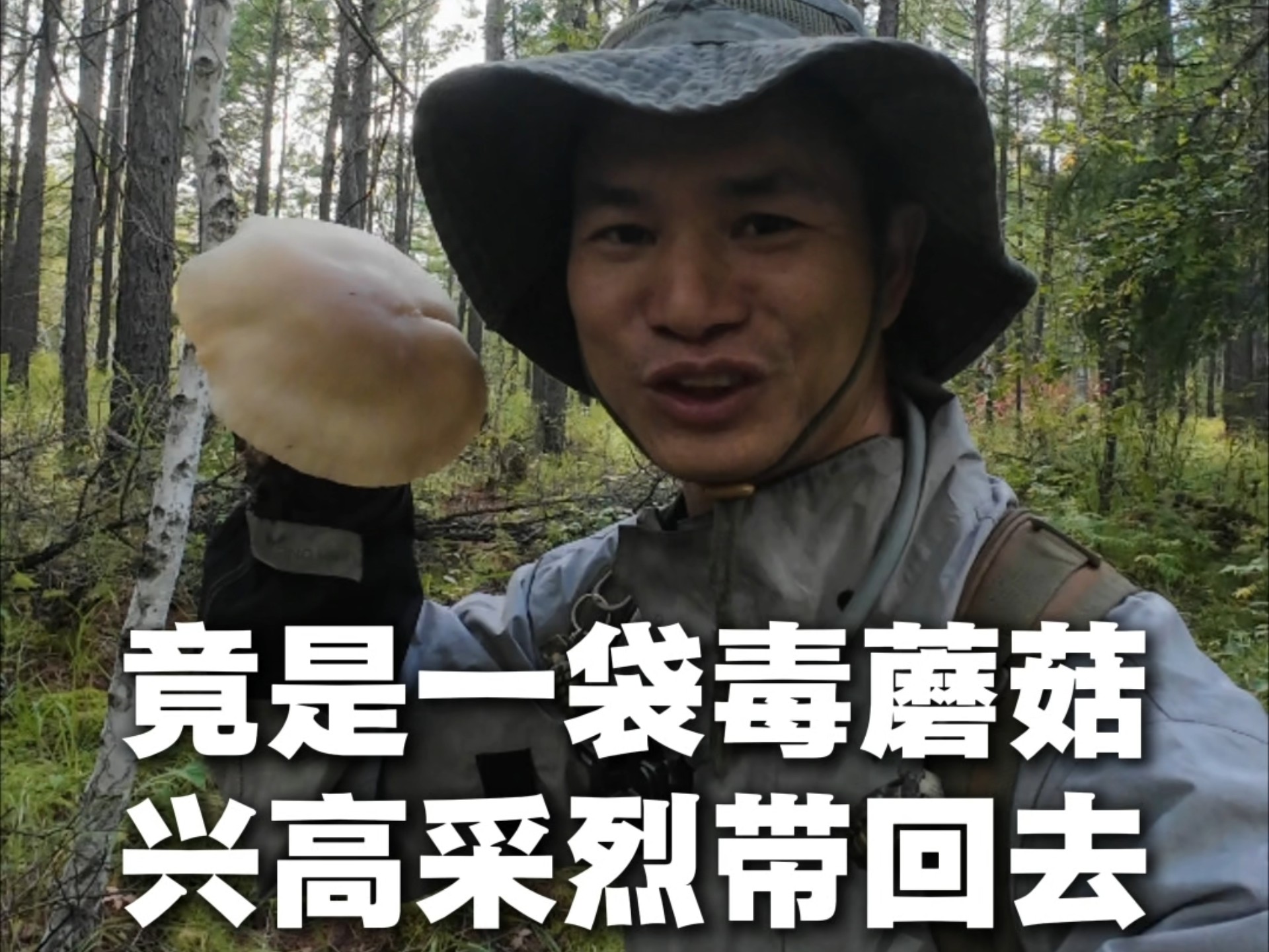 摩旅进大兴安岭采蘑菇一大袋，竟全是毒蘑菇