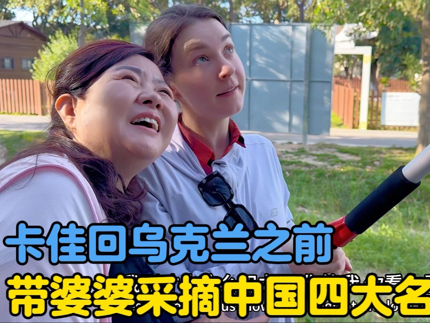 卡佳回乌克兰之前，带婆婆阿美英采摘中国四大名果之一
