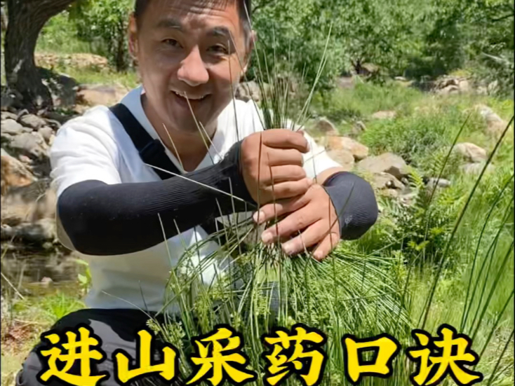 老郎中进山采药时，以其形辨其效的口诀，一定要收藏起来，平时野外