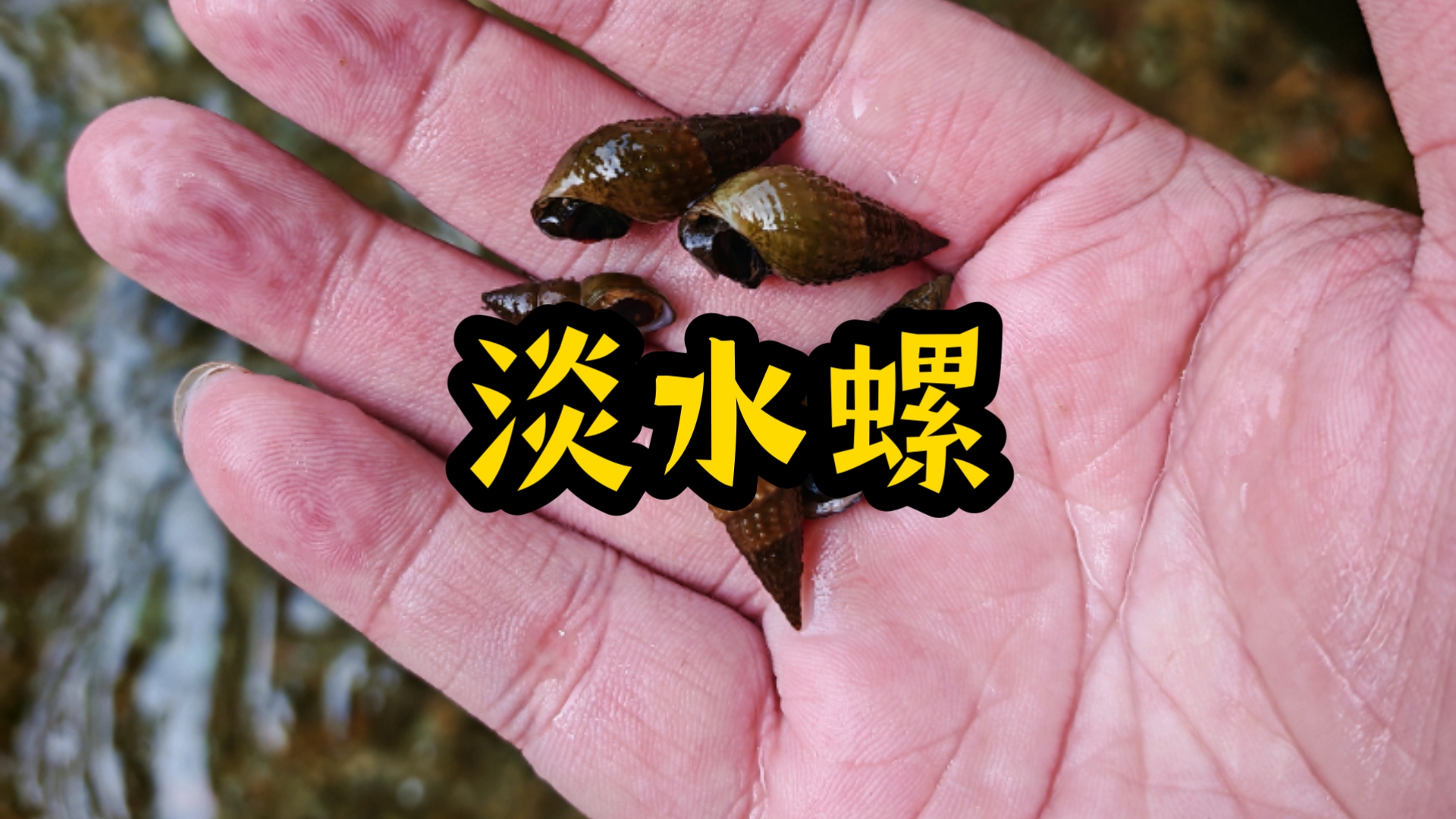 玩在溯溪打水漂，这里原生鱼很神奇就是抓不到，只能捡几个神奇淡
