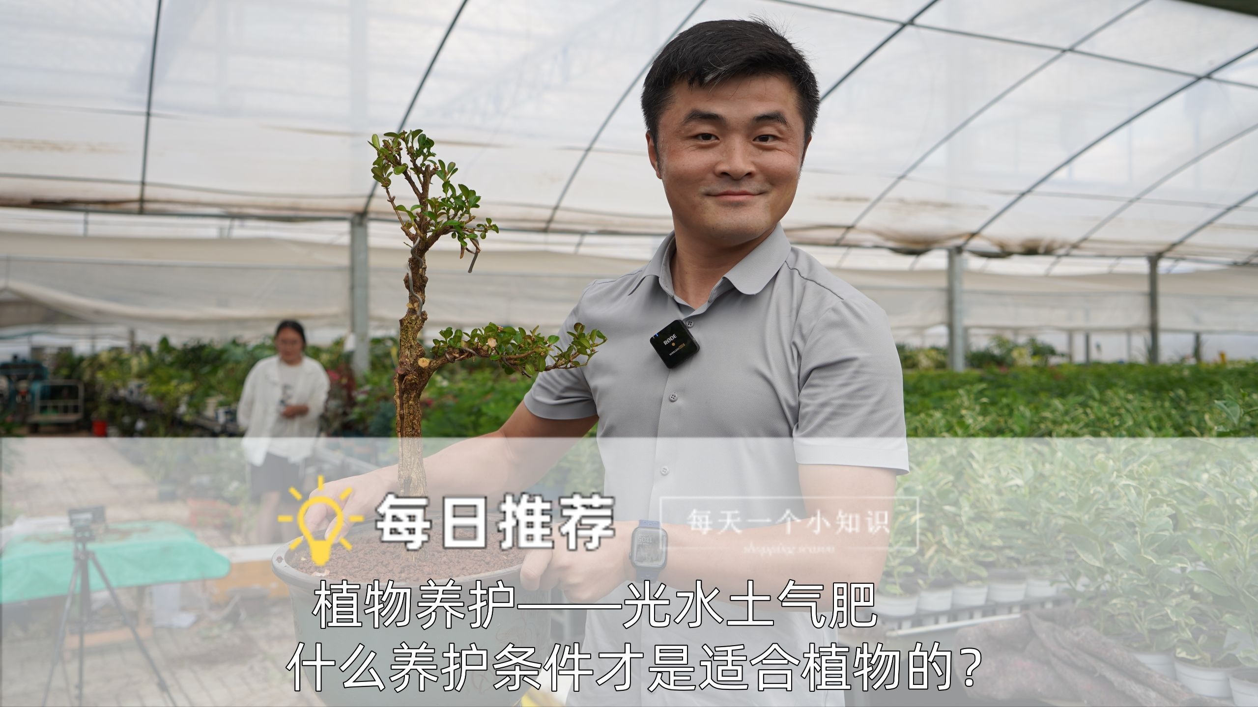植物养护五元素应该怎样正确使用？