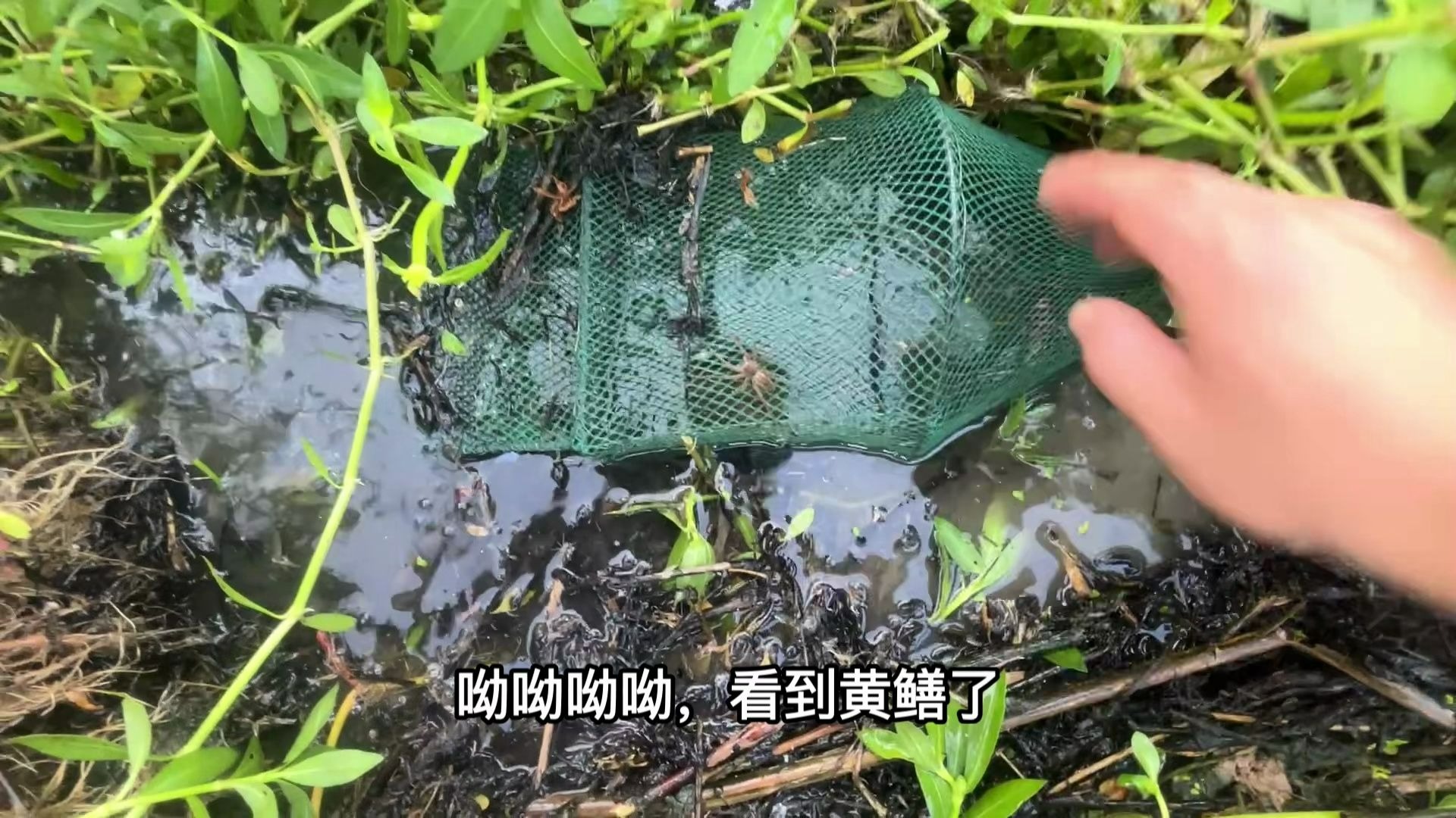 这么热的天我也想休息，可是我穷啊