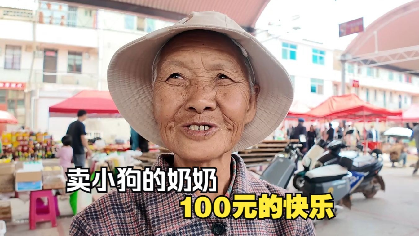 给来集市卖小狗的奶奶100元，她竟然要把所有小狗送给我