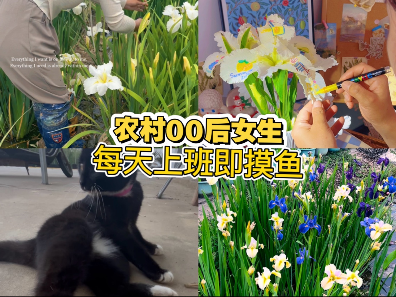 每天上班是假的！每天摸鱼是真的！嘘！！