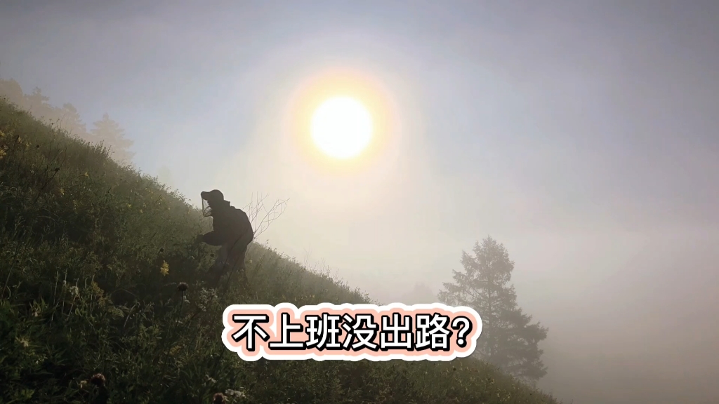 东北人为生计出走以后南方人却独爱这片土地