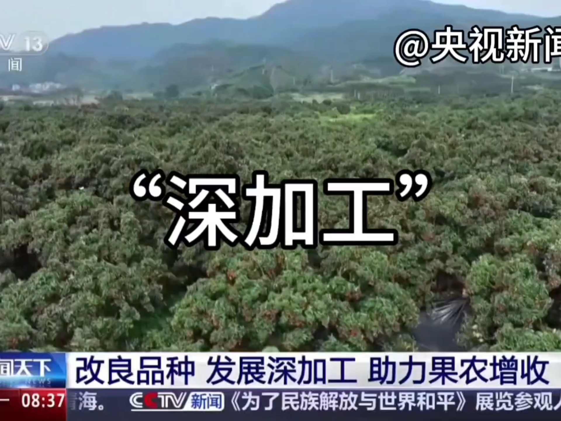 地理农业热点‖Get地理农业题中的答题术语。