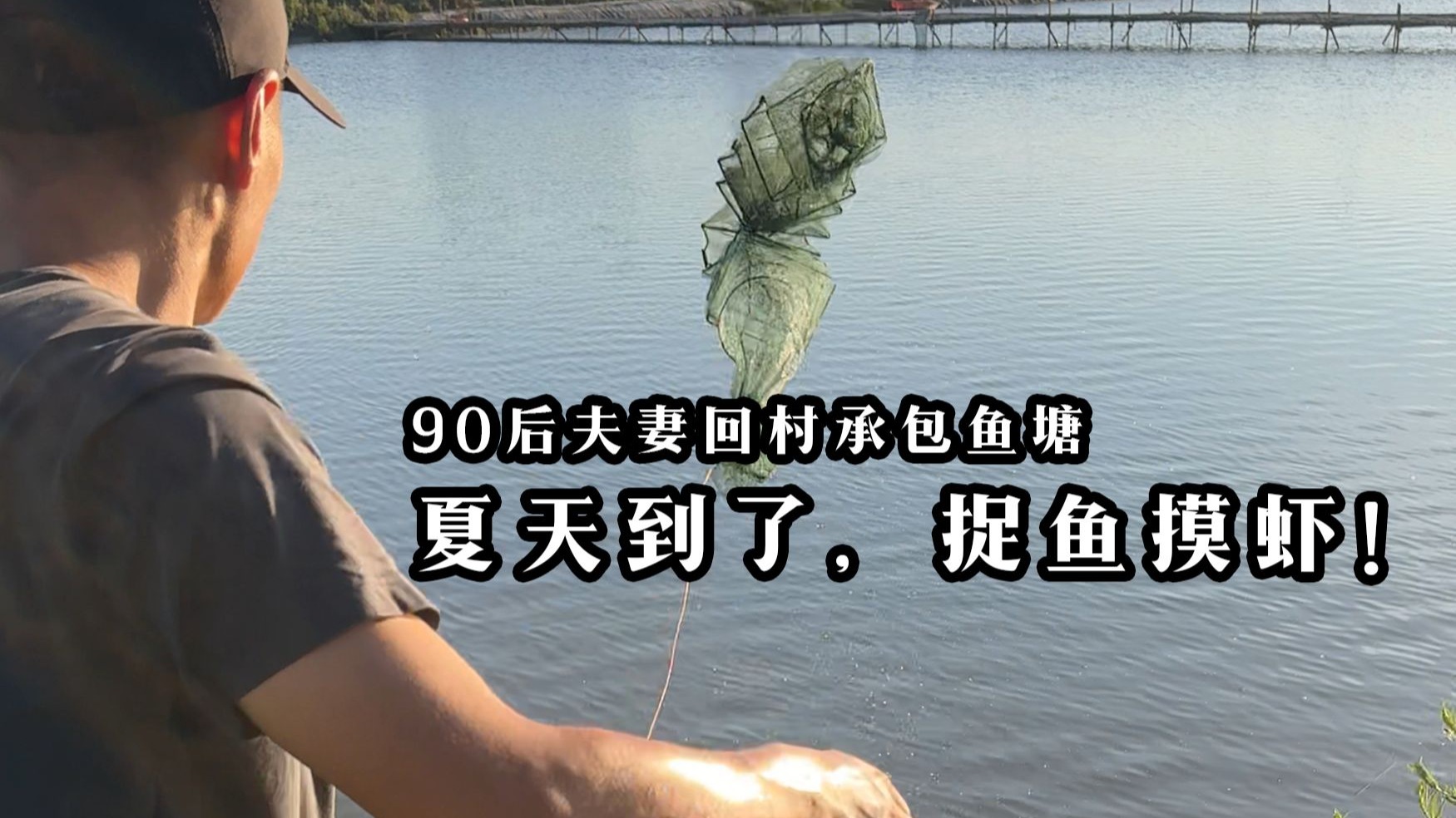 我们的鱼塘里面又出现了好多野生河虾，本想下一些渔网捉河虾的