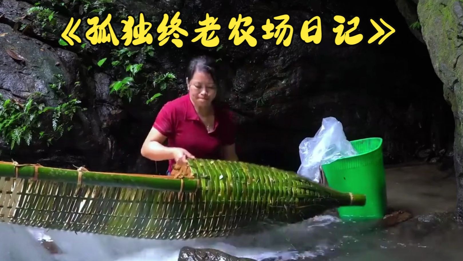 孤独终老农场日记78——发财了，趁着水库泄洪再次在小溪里筑坝