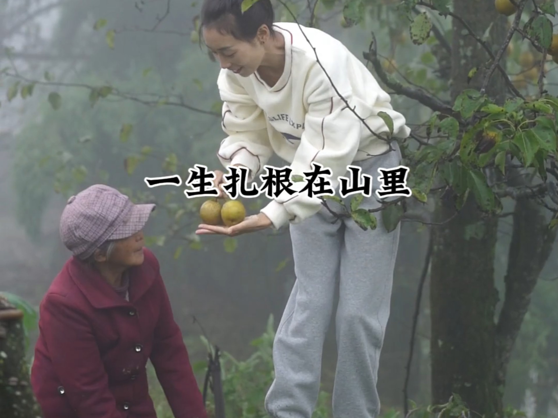 【记录分享百姓生活】Up主探索中，欢迎收看求三连！