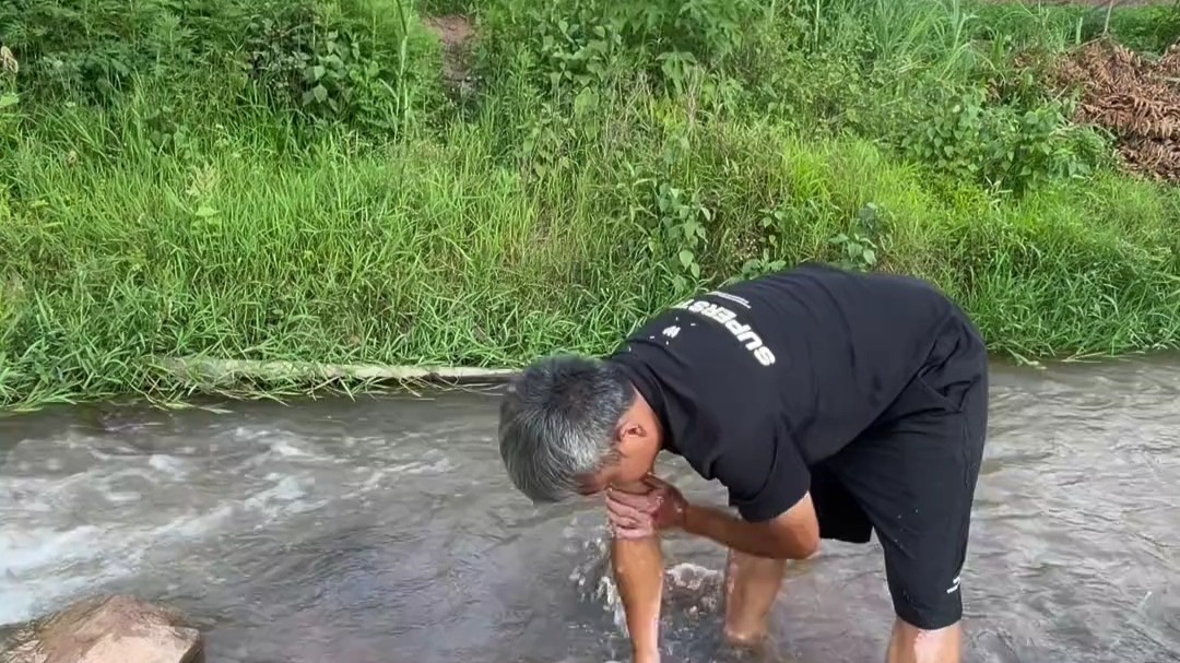 水芹菜炒腊肠！ 今天带女儿去河边割牛草，顺便河边采野菜水芹菜