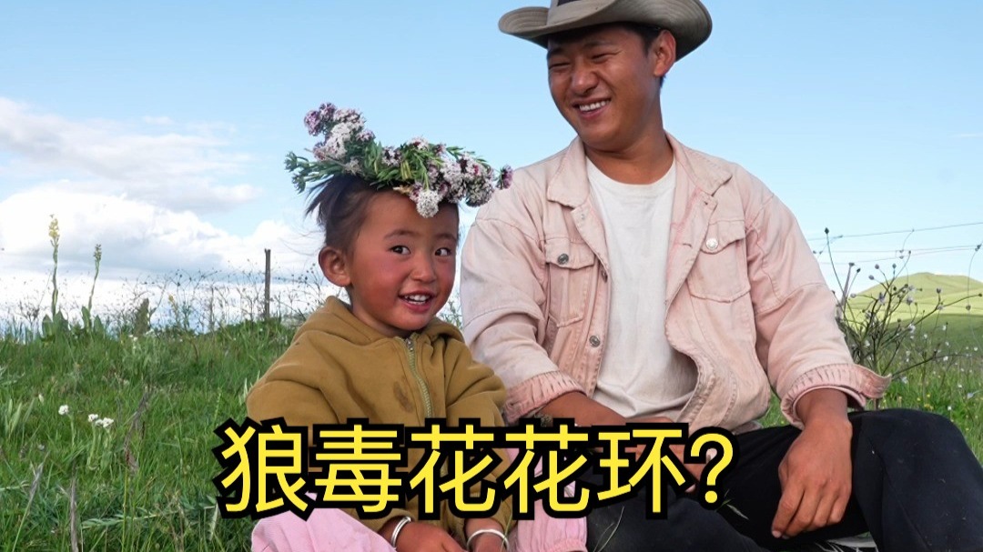 这种花有剧毒？今天老妈用狼毒花做了三顶花环