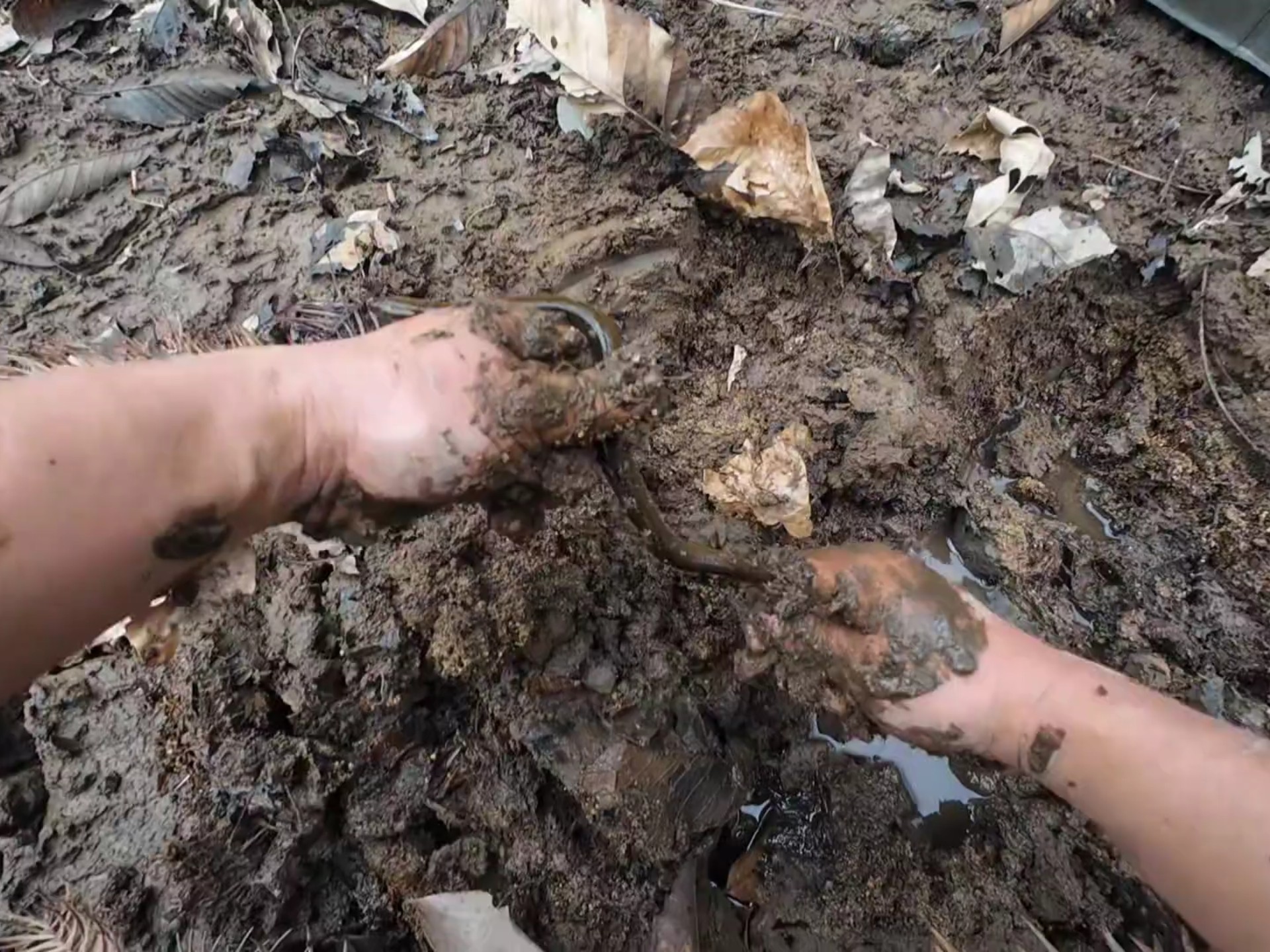 库存来一发，小野塘里抓鳝鱼