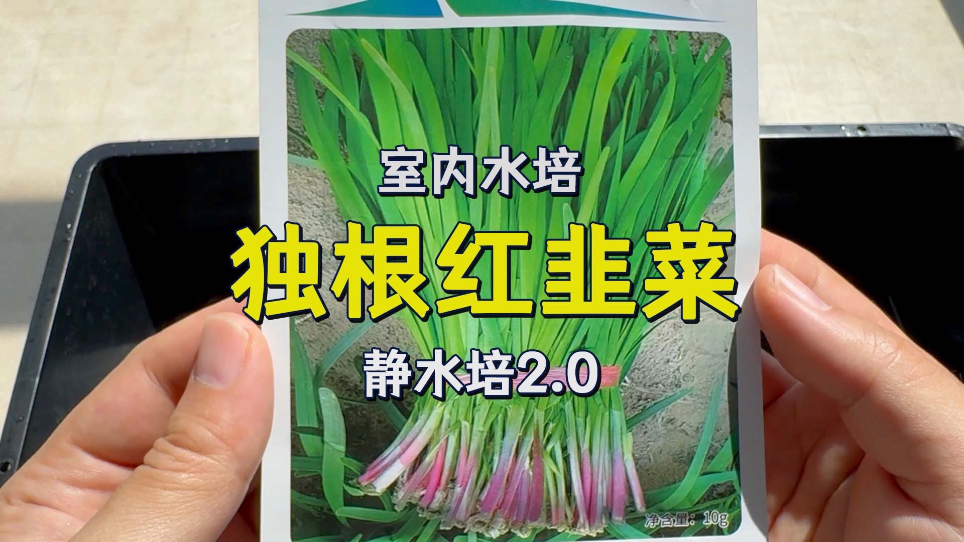 韭菜要勤割不然就跑了