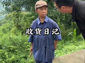武隆老鹰茶没收到 收到两块老腊肉#乡村生活#收货日记