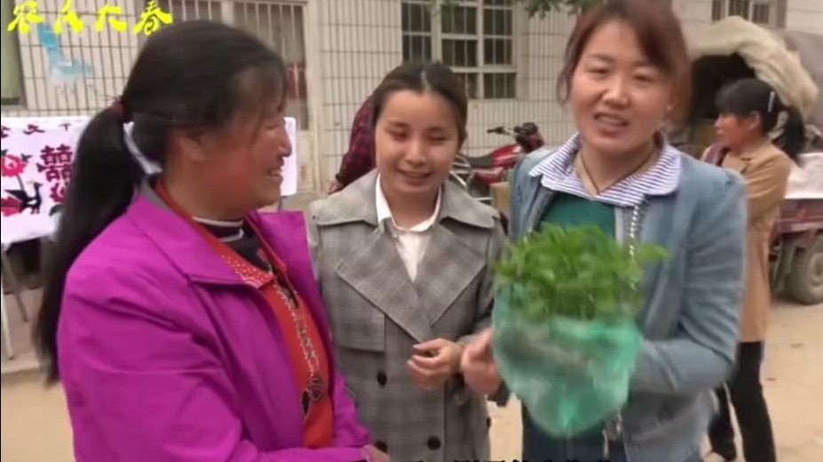 时间过得真快