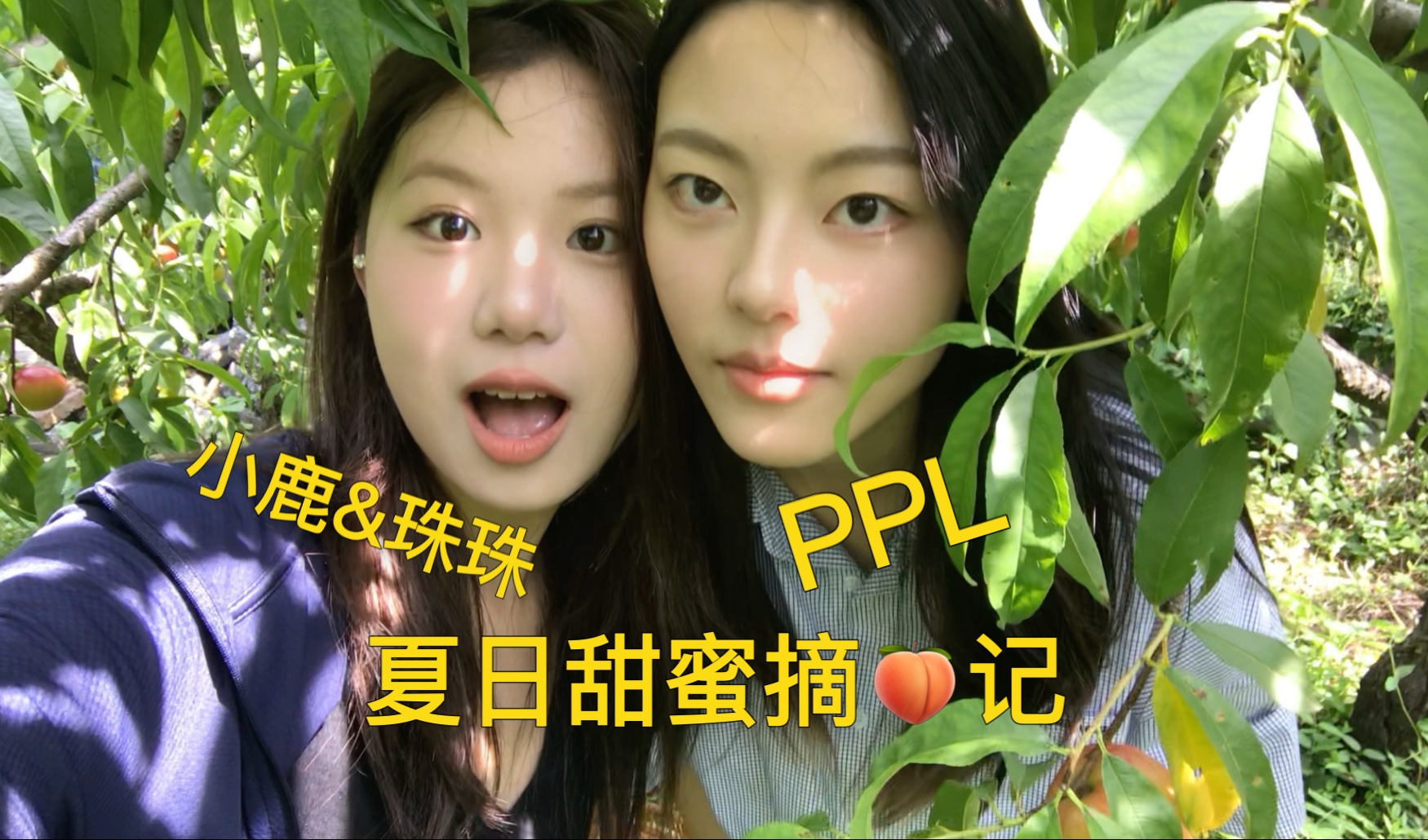 PPL｜小鹿&珠珠｜夏日摘桃vlog｜见彩虹遇好运哦｜