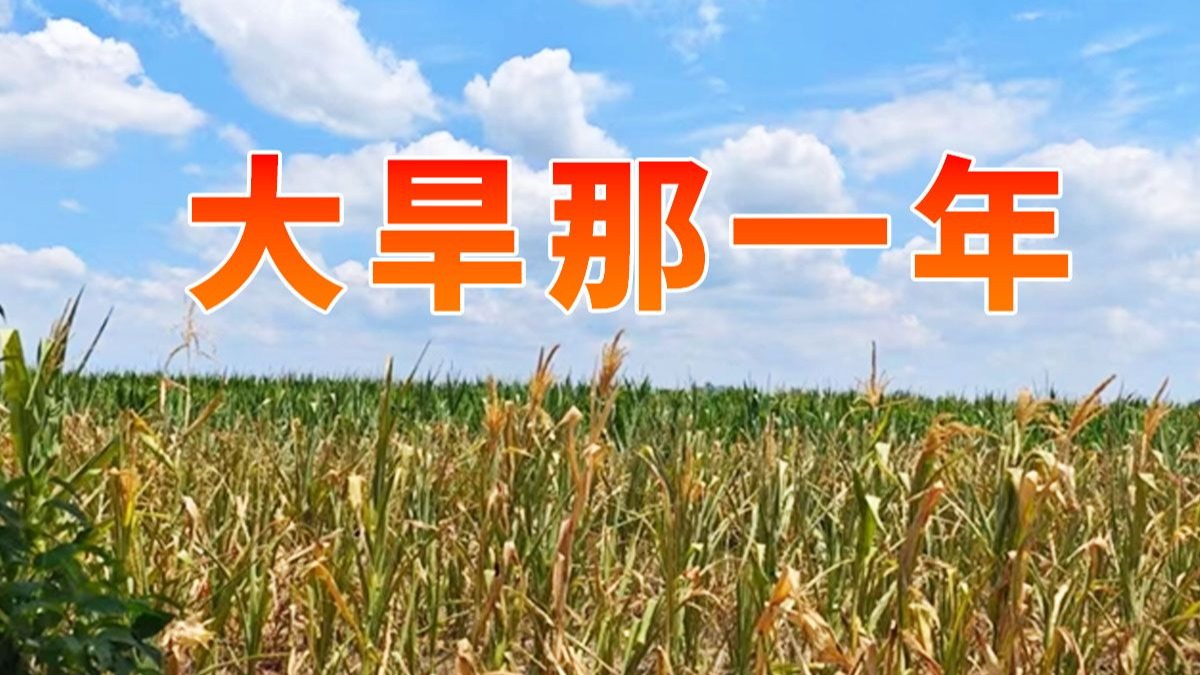 大旱那一年【温度时事特刊01】