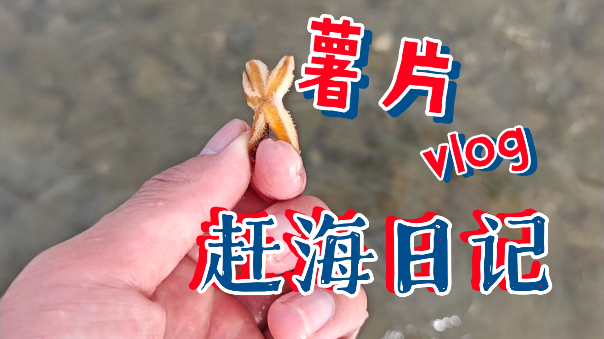 海边的透明大果冻，这天阴晴不定的