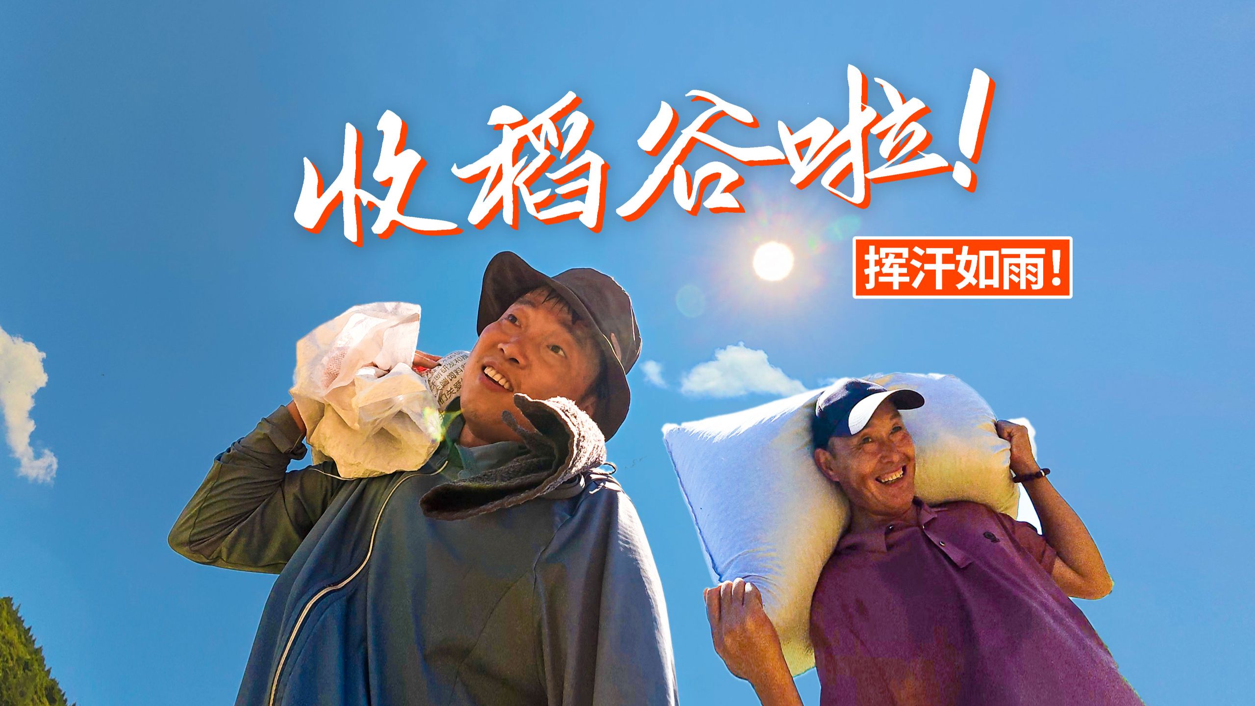 又到一年一度的收割稻谷啦！服役9年的收割机也终于退役了。