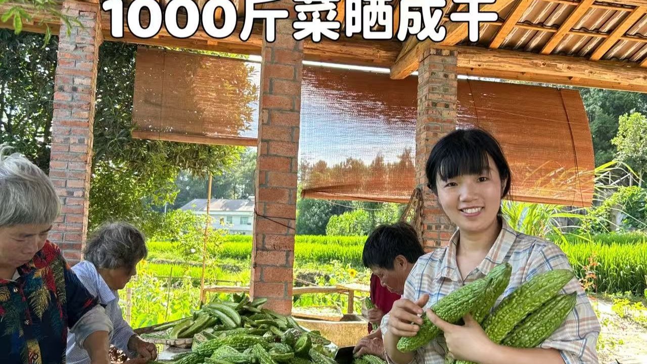 不卖了，才5毛一斤，用1000斤茄子苦瓜做实验把它变的更有价
