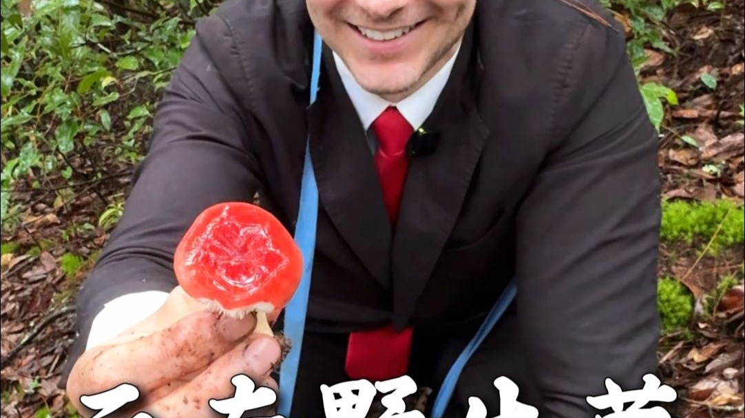 自己摘的云南野生菌？我飞过去也要看看犟字怎么写！#云南野生菌#