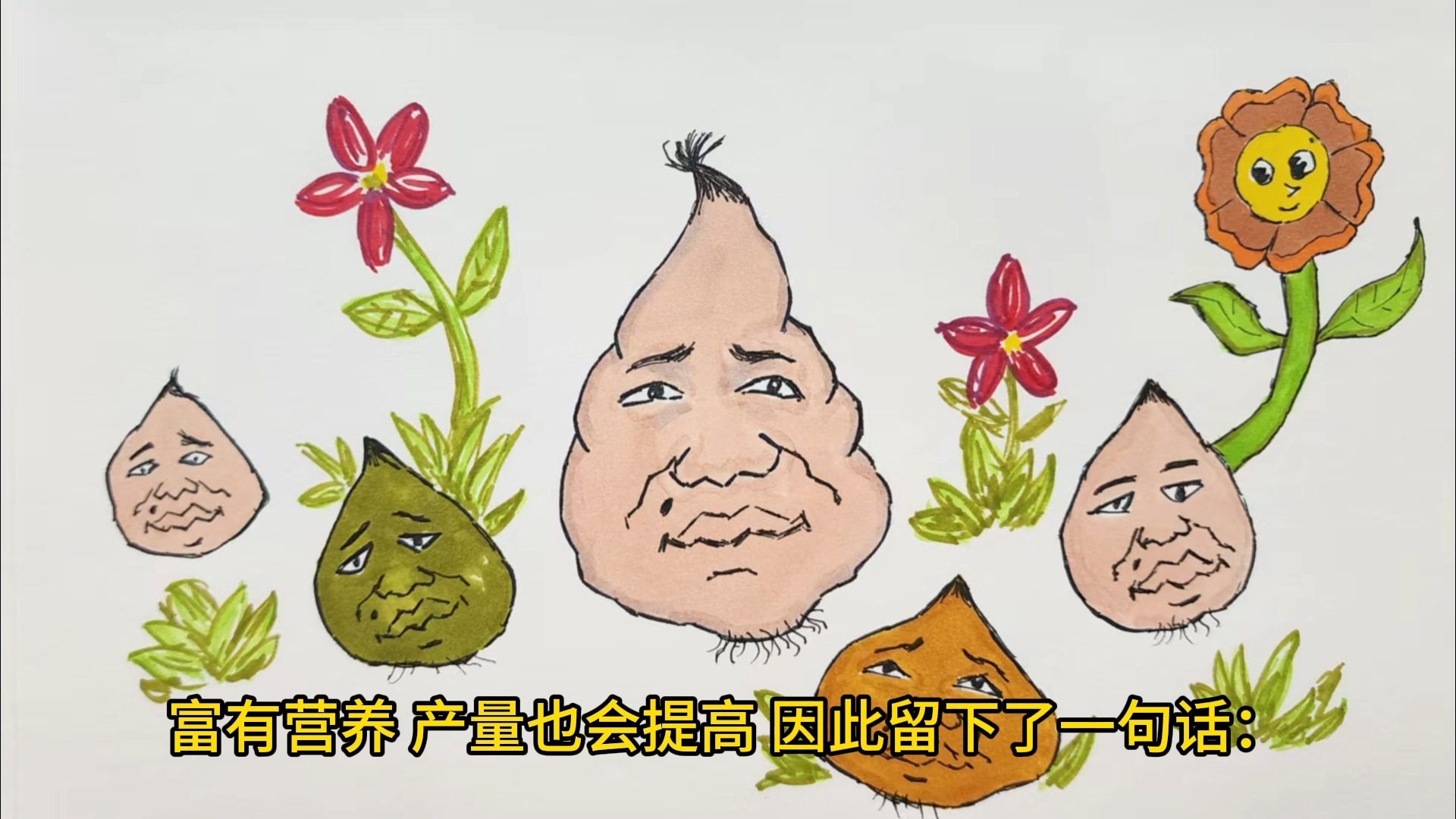 为什么农民伯伯喜欢阿诺？浅谈一下阿诺在农业生产中的重要作用