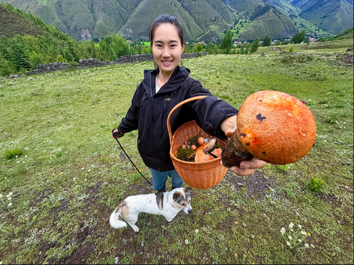 捡牛肝菌以为空军，结果开张吃三年