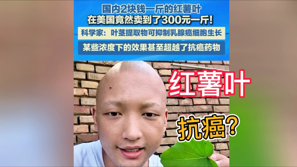 红薯叶，抗癌？